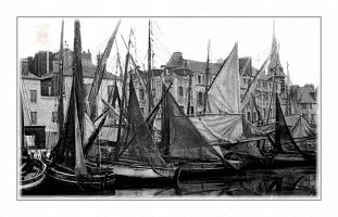 barques 824
