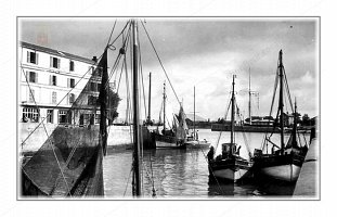 mats et voiles 049
