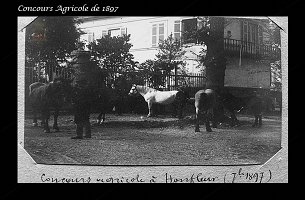 Concours Agricole de 1897 b